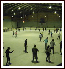 Bendigo Ice Stadium - Accommodation Coffs Harbour 1