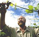 Barossa Experience Tours - Accommodation Coffs Harbour