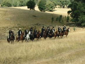 McCormacks Mountain Valley Trail Rides - Accommodation Coffs Harbour 0