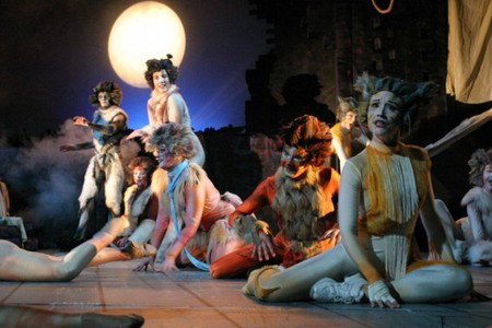 Grange QLD Accommodation Coffs Harbour