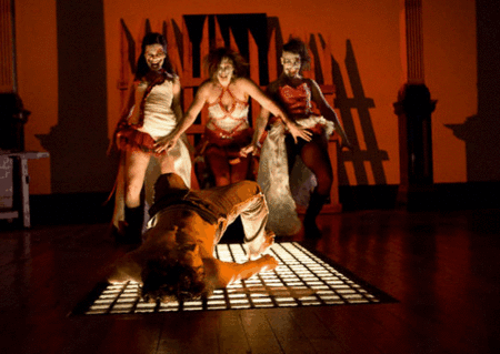 Zen Zen Zo Physical Theatre - Accommodation Coffs Harbour 1