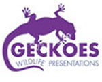 Geckoes Wildlife Presentations - Accommodation Coffs Harbour 3