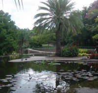 Brisbane City Botanic Gardens - Accommodation Coffs Harbour