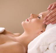 Beautiful Beings - Accommodation Coffs Harbour