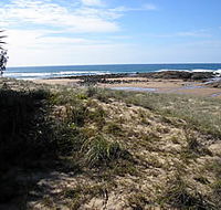 Deepwater National Park - Accommodation Coffs Harbour