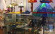 Bundaberg Regional Art Gallery - thumb 1