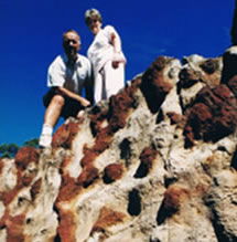Mystery Craters - Accommodation Coffs Harbour 2