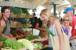 The Sun Herald Sydney Family Show - Accommodation Coffs Harbour 1