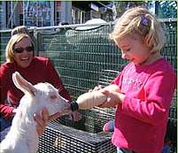 The Sun Herald Sydney Family Show - Accommodation Coffs Harbour 2