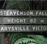 Stevensons Falls - Accommodation Coffs Harbour