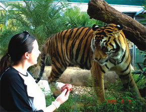 Crocodylus Park - Accommodation Coffs Harbour 1