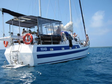 Coral Sea Dreaming Dive And Sail - Accommodation Coffs Harbour 3