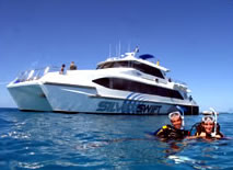 Silver Swift - Accommodation Coffs Harbour 0