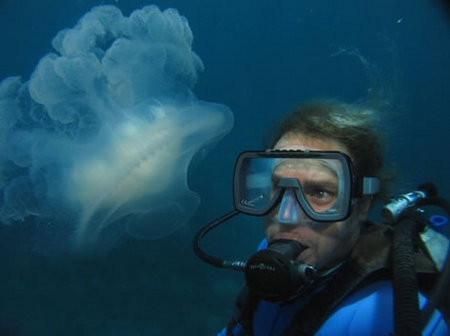 Silver Swift - Accommodation Coffs Harbour 2