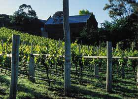 Goona Warra Vineyard - Accommodation Coffs Harbour 1