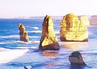 Bunyip Tours - Accommodation Coffs Harbour 3