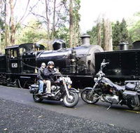 Andy's Harley Rides - Accommodation Coffs Harbour