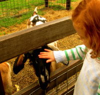 Collingwood Children's Farm - Accommodation Coffs Harbour