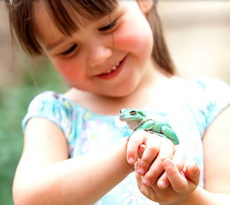 Reptile Encounters - Accommodation Coffs Harbour 1