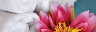 Regeneration Health Spa - Accommodation Coffs Harbour 2