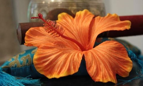 Annasha Day Spa Retreat - Accommodation Coffs Harbour 5