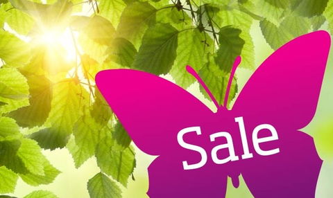 Wintergarden Shopping Centre - Accommodation Coffs Harbour 0