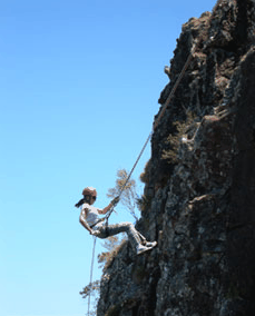 Adventures Around Brisbane - Accommodation Coffs Harbour 1