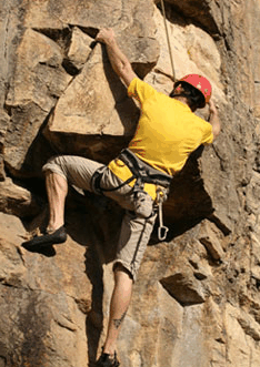 Adventures Around Brisbane - Accommodation Coffs Harbour 3