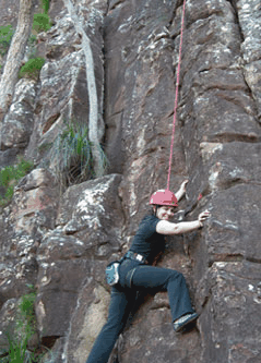 Adventures Around Brisbane - Accommodation Coffs Harbour 4