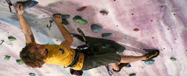 Urban Climb - Accommodation Coffs Harbour 0