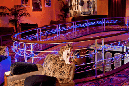 The Astor Theatre - Accommodation Coffs Harbour 3