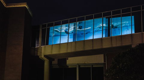 Kingston Arts - Accommodation Coffs Harbour 8