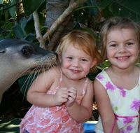 Dolphin Marine Magic - Accommodation Coffs Harbour