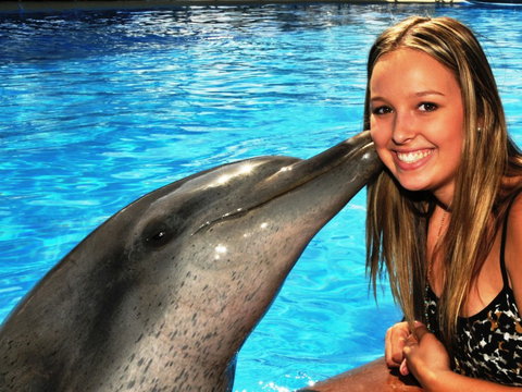 Dolphin Marine Magic - Accommodation Coffs Harbour 3