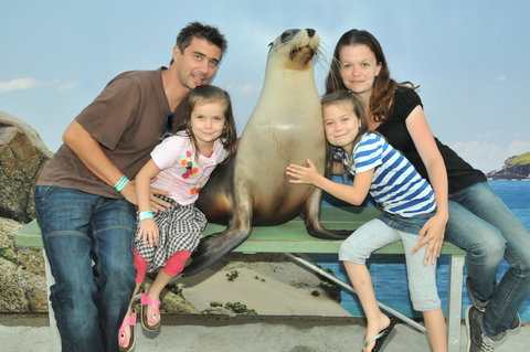 Dolphin Marine Magic - Accommodation Coffs Harbour 6