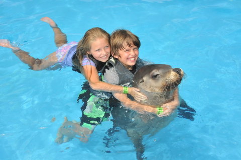 Dolphin Marine Magic - Accommodation Coffs Harbour 9