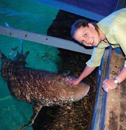 National Zoo & Aquarium - Accommodation Coffs Harbour 7