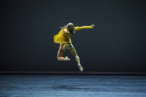 Sydney Dance Company - Accommodation Coffs Harbour 1