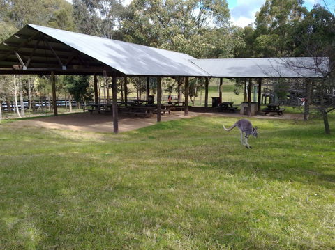 Calmsley Hill City Farm - Accommodation Coffs Harbour 5