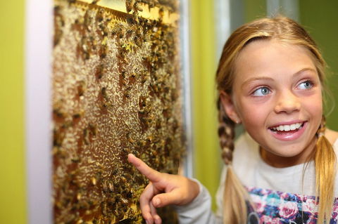 The Ginger Factory - Accommodation Coffs Harbour 8