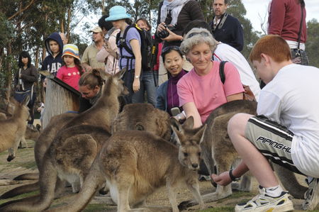 East Coast Natureworld - Accommodation Coffs Harbour 4