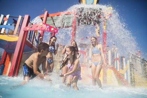 Funfields - Accommodation Coffs Harbour 10