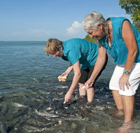 Aquascene Fish Feeding Sanctuary - Accommodation Coffs Harbour