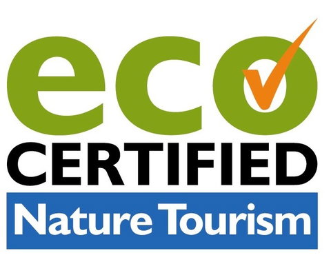 Aquascene Fish Feeding Sanctuary - Accommodation Coffs Harbour 4