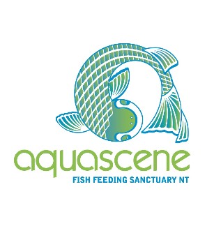 Aquascene Fish Feeding Sanctuary - Accommodation Coffs Harbour 5