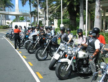 Wildfire Tours - Accommodation Coffs Harbour 1