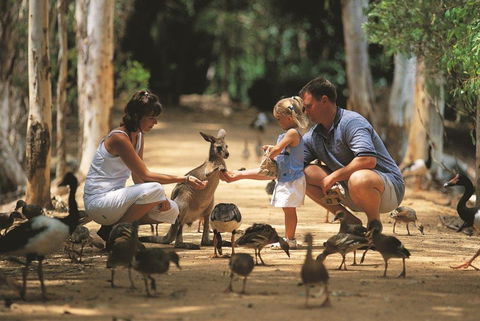 Billabong Sanctuary - Accommodation Coffs Harbour 0
