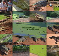 The Malcolm Douglas Crocodile Park - Accommodation Coffs Harbour