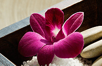 Blush Beauty Saloons - thumb 4