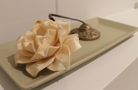The Boardwalk Spa - Accommodation Coffs Harbour 5